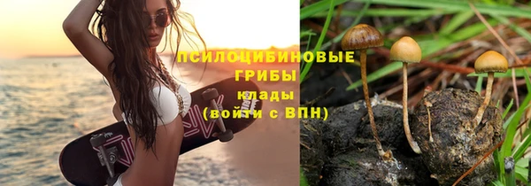 МДПВ Костерёво